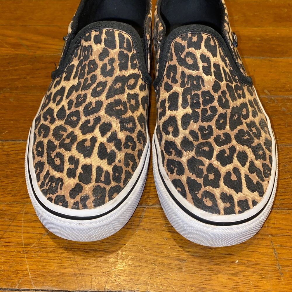 Cheetah vans